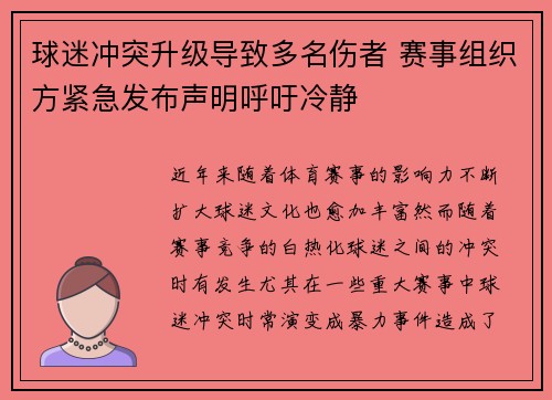 球迷冲突升级导致多名伤者 赛事组织方紧急发布声明呼吁冷静