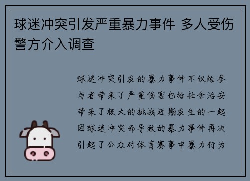 球迷冲突引发严重暴力事件 多人受伤警方介入调查